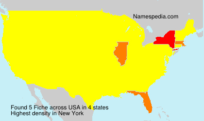 Surname Fiche in USA Surname Fiche in USA