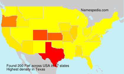 Surname Fief in USA Surname Fief in USA