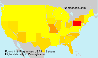 Surname Fieg in USA Surname Fieg in USA