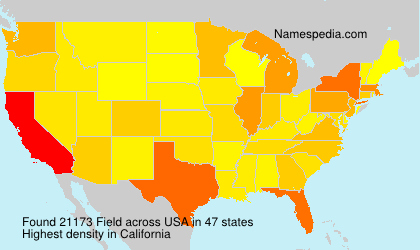 Surname Field in USA Surname Field in USA