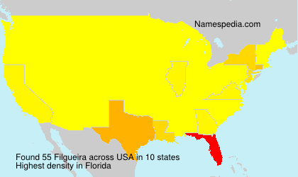Surname Filgueira in USA Surname Filgueira in USA