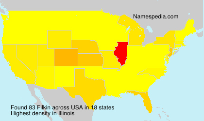 Surname Filkin in USA