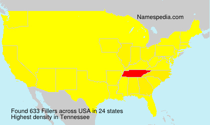 Surname Fillers in USA Surname Fillers in USA