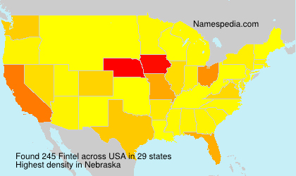 Surname Fintel in USA Surname Fintel in USA