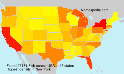 Surname Fish in USA Surname Fish in USA