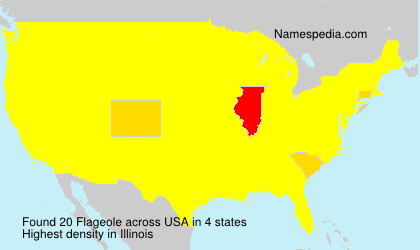 Surname Flageole in USA Surname Flageole in USA