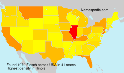 Surname Flesch in USA Surname Flesch in USA