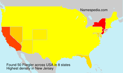 Surname Fliegler in USA Surname Fliegler in USA