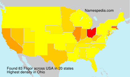 Surname Fligor in USA Surname Fligor in USA