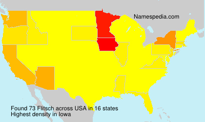 Surname Flitsch in USA