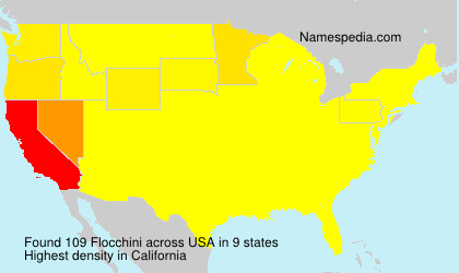 Flocchini Flocchini