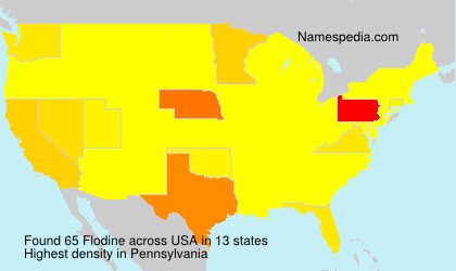 Surname Flodine in USA Surname Flodine in USA