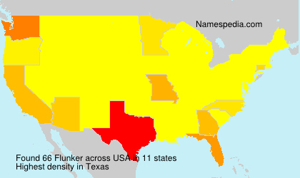 Surname Flunker in USA Surname Flunker in USA