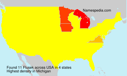 Flusek Flusek