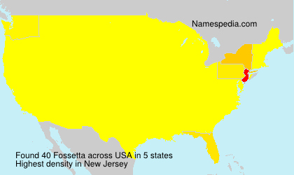 Surname Fossetta in USA Surname Fossetta in USA