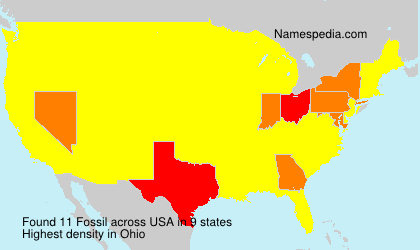 Surname Fossil in USA Surname Fossil in USA