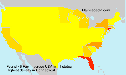 Surname Fucini in USA Surname Fucini in USA