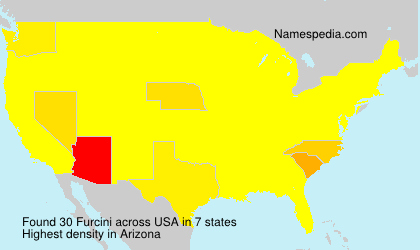 Surname Furcini in USA
