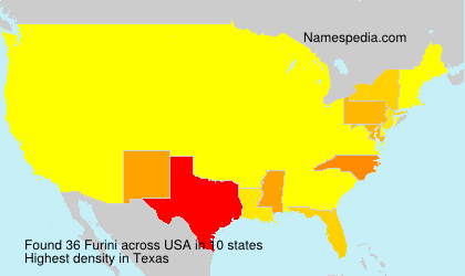 Surname Furini in USA Surname Furini in USA