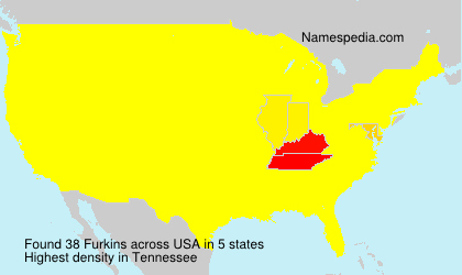 Surname Furkins in USA