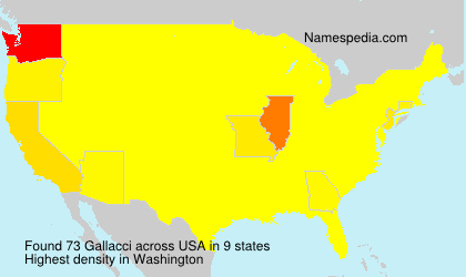 Gallacci Gallacci
