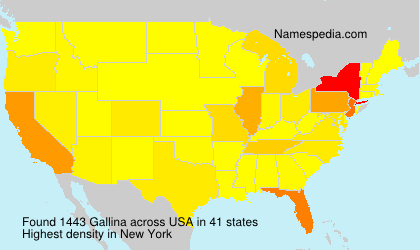 Surname Gallina in USA Surname Gallina in USA