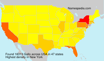 Surname Gallo in USA