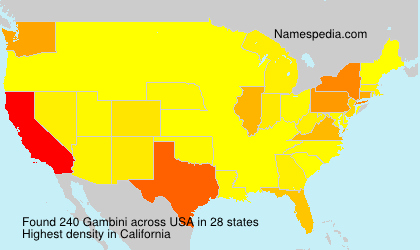 Surname Gambini in USA Surname Gambini in USA
