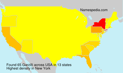 Surname Garzilli in USA Surname Garzilli in USA