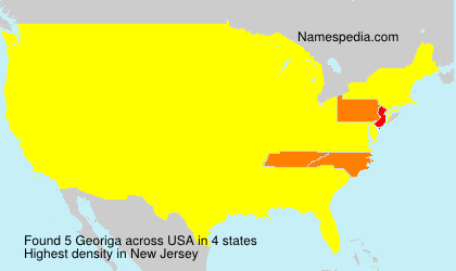 Surname Georiga in USA Surname Georiga in USA