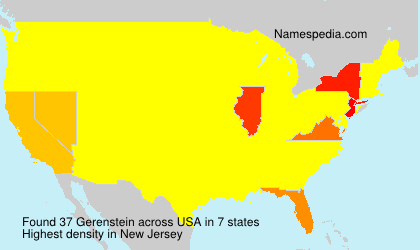 Surname Gerenstein in USA