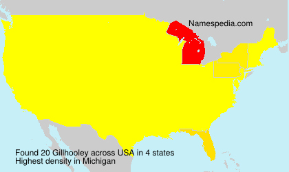 Surname Gillhooley in USA Surname Gillhooley in USA
