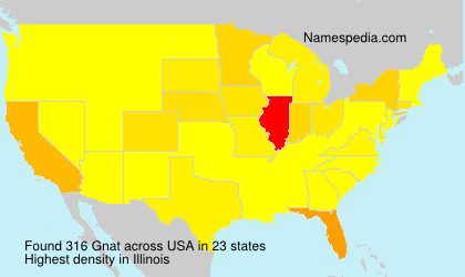 Gnat Gnat