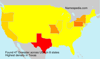 Surname Goessler in USA Surname Goessler in USA