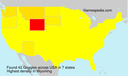 Surname Goggles in USA Surname Goggles in USA