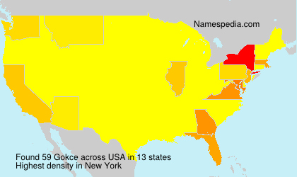 Surname Gokce in USA