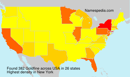 Surname Goldfine in USA
