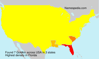 Surname Goldkin in USA