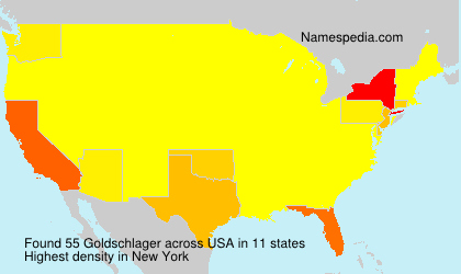 Surname Goldschlager in USA Surname Goldschlager in USA