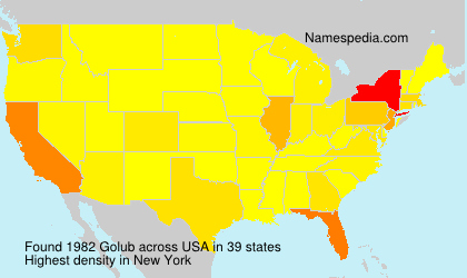 Surname Golub in USA Surname Golub in USA