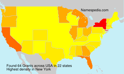 Surname Grants in USA Surname Grants in USA