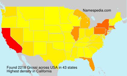Surname Grossi in USA Surname Grossi in USA
