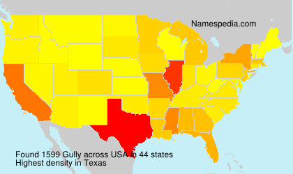 Surname Gully in USA Surname Gully in USA