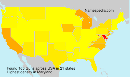 Surname Guns in USA