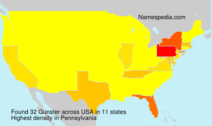 Surname Gunster in USA Surname Gunster in USA