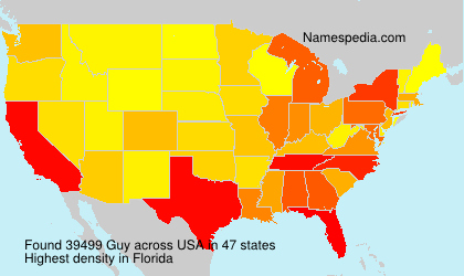 Guy Guy