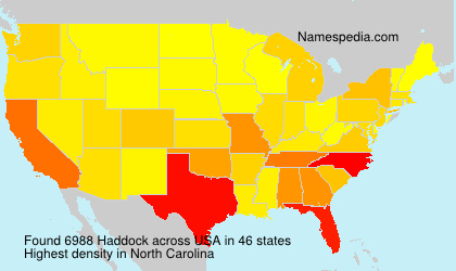 Surname Haddock in USA Surname Haddock in USA