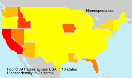 Surname Hadjes in USA