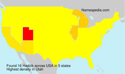 Surname Hadzik in USA Surname Hadzik in USA