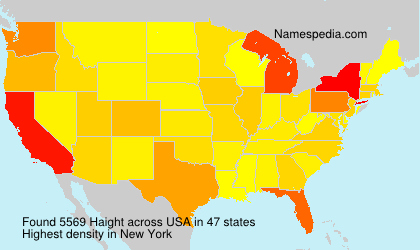 Surname Haight in USA